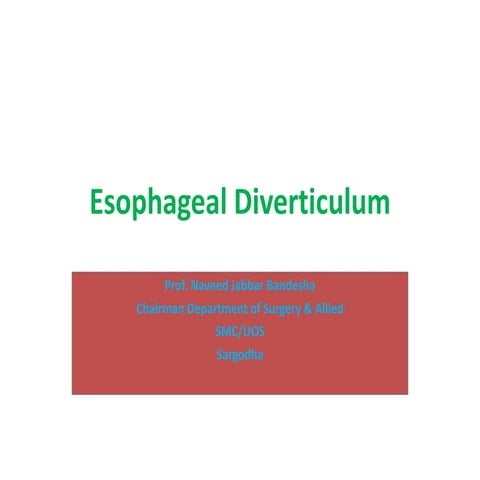 1588335375-esophageal-diverticulum-converted-1.pdf