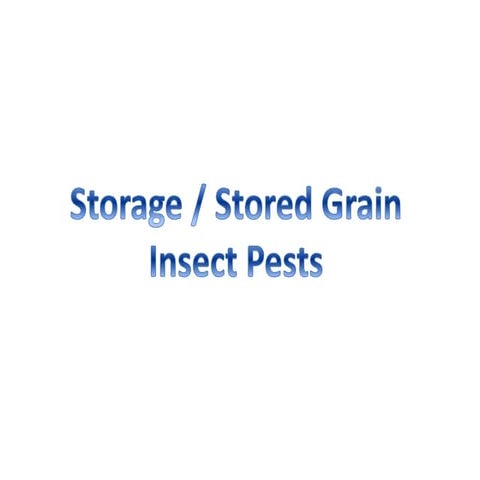 1588457070-stored-grain-insect-pests.pptx