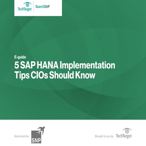 5 SAP HANA Implementation Tips CIOs Sould Know