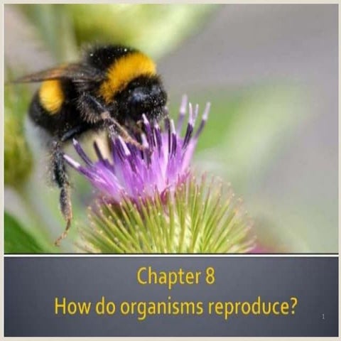 HOW DO ORGANISMAS REPRODUCE CLASS 10