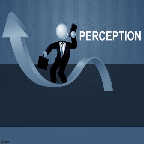 Perception (organisational behavior)