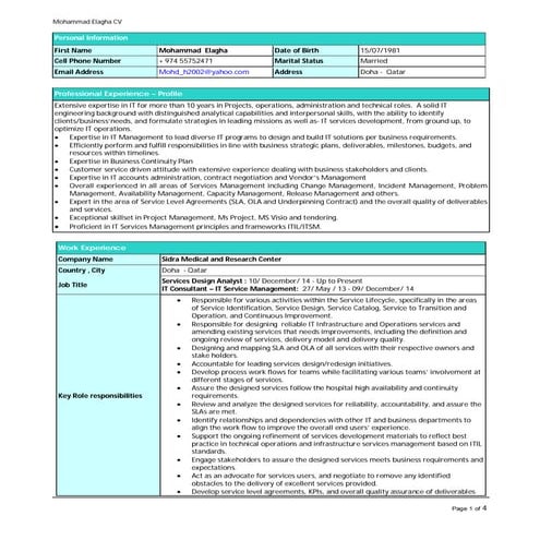 Mohammad Elagha CV