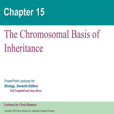 CHROMOSOMES CHROMOSOMES CHROMOSOMES CHROMOSOMES.ppt