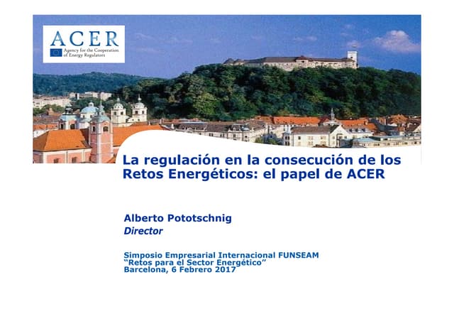 Alberto Pototschnig, Director de ACER