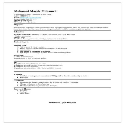 cv mohamed magdy
