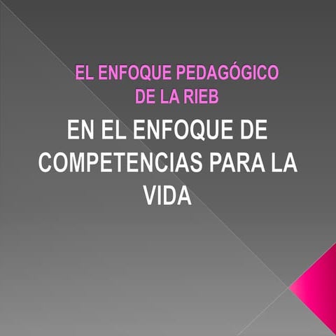 el enfoque  pedagogico de la rieb