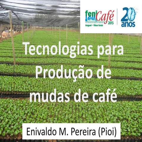 AULA 1 Produção de mudas.ppt
