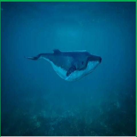 15 interesting facts abouts whales.pptx