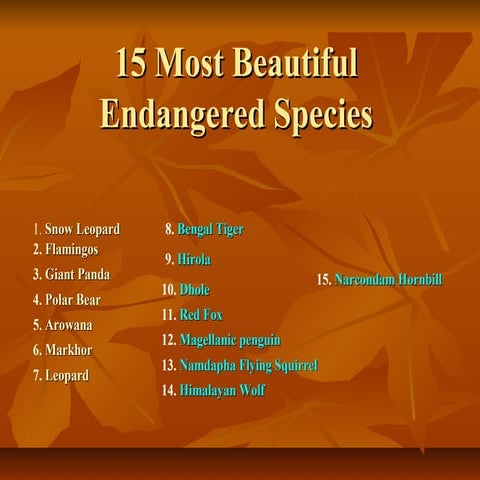 15 bird species in india in critically endangered list | PDF