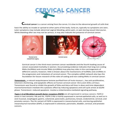 CERVICAL CANCER