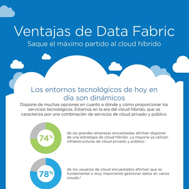 Data Fabric (Spanish)