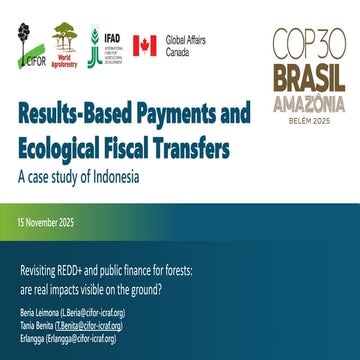 Results-Based Payments and Ecological Fiscal Transfers: A case study of Indon...