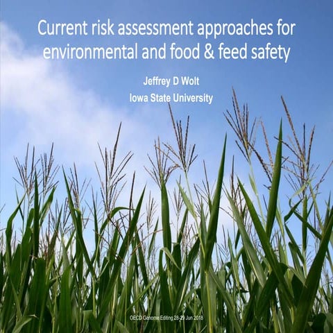 Current risk assessment approaches for environmental and food & feed ...