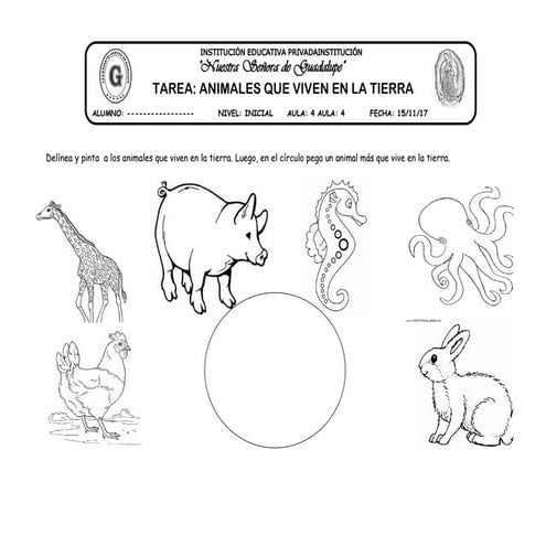 17 animales que vuelan | PPTX