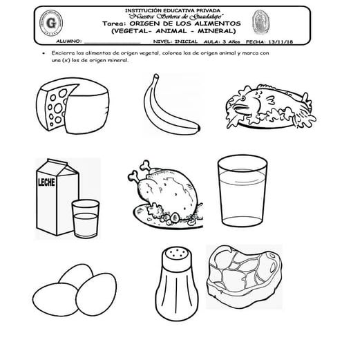 15 tarea origen de los alimentos