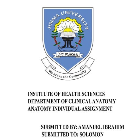 15 Vascular anatomy of the upper limb2010 (2).ppt