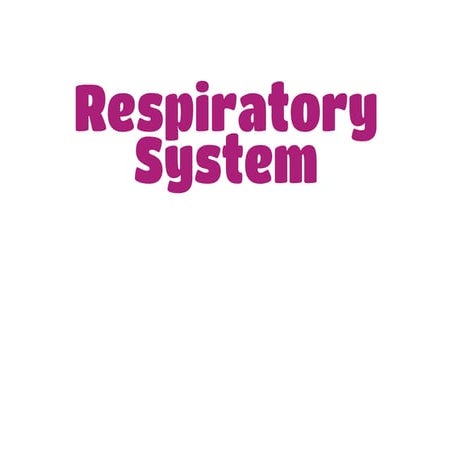 Respiratory System 