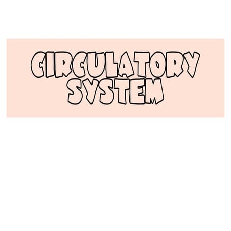 Circulatory System 