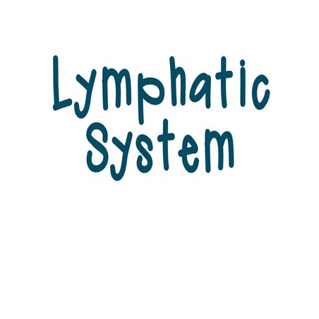 Lymphatic System 