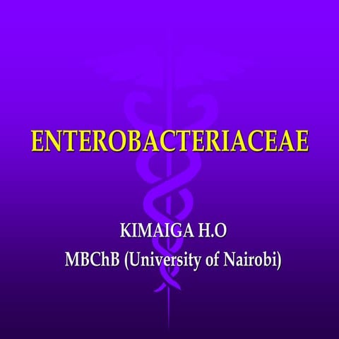 16. enterobacteriaceae