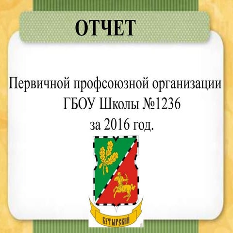 профотчет16г.