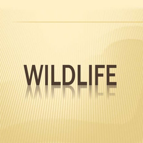 WILD ANIMALS OF PAKISTAN