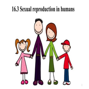 Sexual reproduction in Human methods and techniques