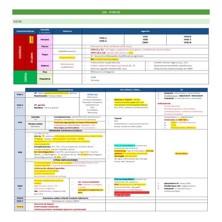16. Virus residencia médica resumen nnnnnnnn