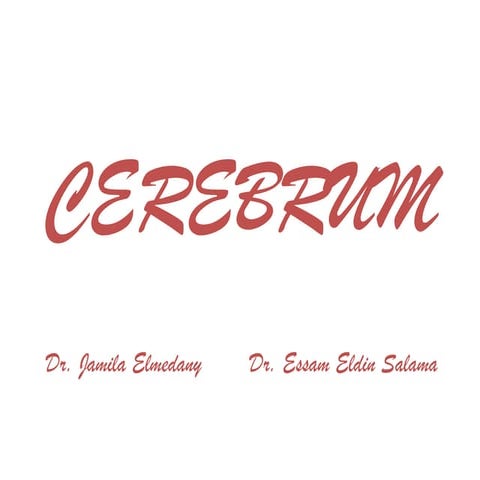 16-Cerebral Hemisphere .pdf666⁶6666666666666