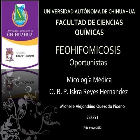16.feohifomicosis