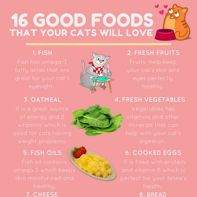 16 Good Foods That Your Cats Will Love PDF