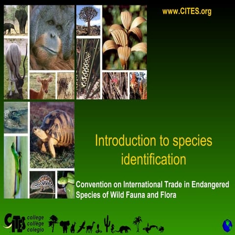 Introduction to Identification