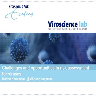 Challenges in risk assessment for v...