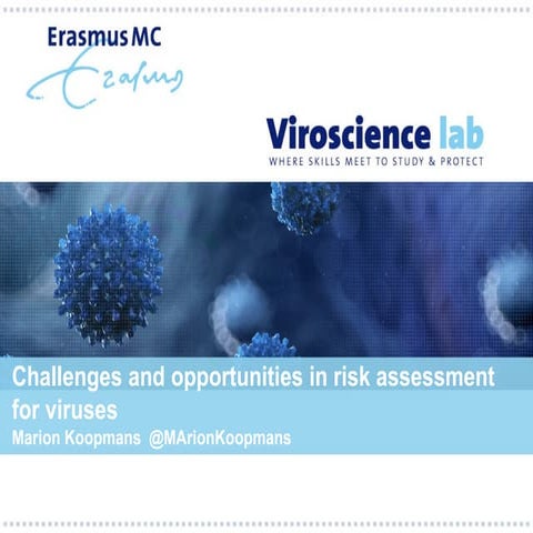 Challenges in risk assessment for viruses