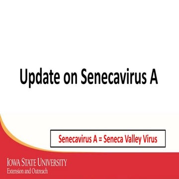 Dr. Chris Rademacher - Update on Senecavirus A