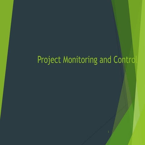 160155061 project-monitoring-control
