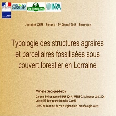 Typologie des structures agraires et parcellaires fossilisés sous couvert for...