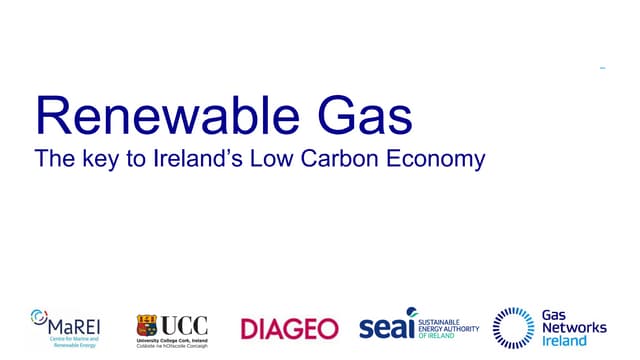 Renewable Gas for the large industry sector - The road to Ireland's low carbo...