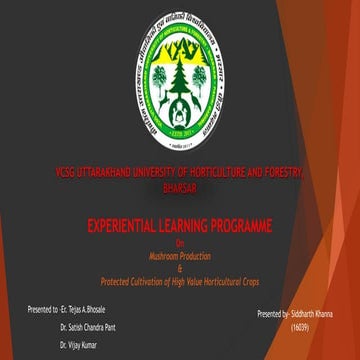 Experiential learning programme 