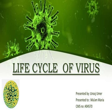 virus life cycle