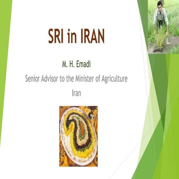 1606 - The System of Rice Intensification (SRI) in Iran