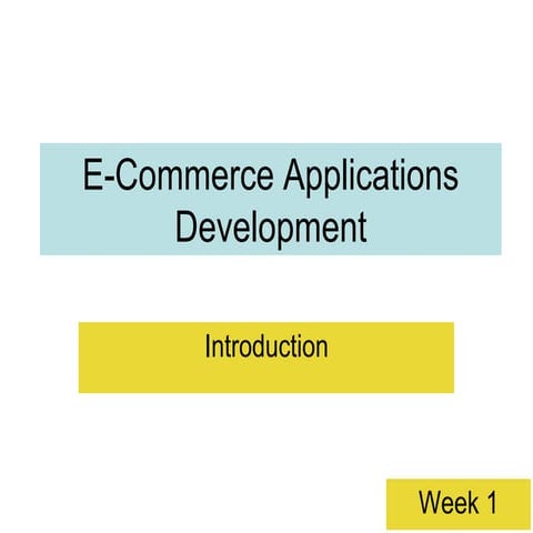 1606413702-lecture-1.ECOMMERCES BUSINESS
