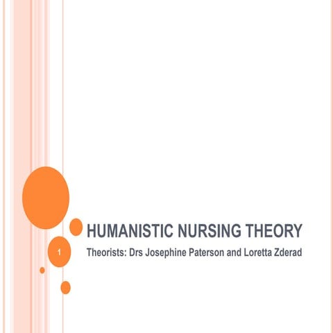 16070080 humanistic-nursing-theory