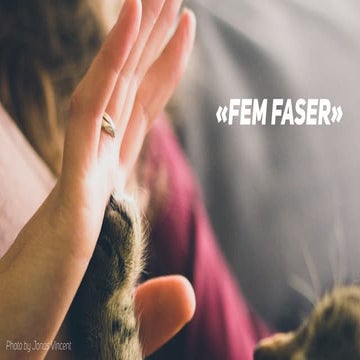 Sosiale medier og journalistikk - Fem faser