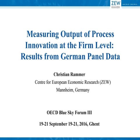 Rammer - Measuring output of process innovation at the firm level