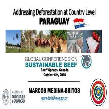 Mr. Marcos Medina - Addressing Deforestation at the Country Level: Paraguay