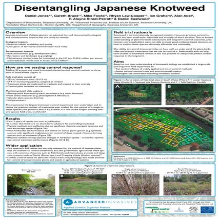 Disentangling Japanese Knotweed