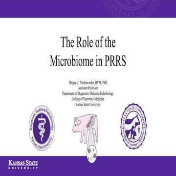 Dr. Megan Niederwerder - The role of the microbiome in Porcine Reproductive &...