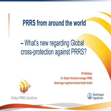 Dr. PH Rathkjen - Porcine Reproductive & Respiratory Syndrome (PRRS) around t...