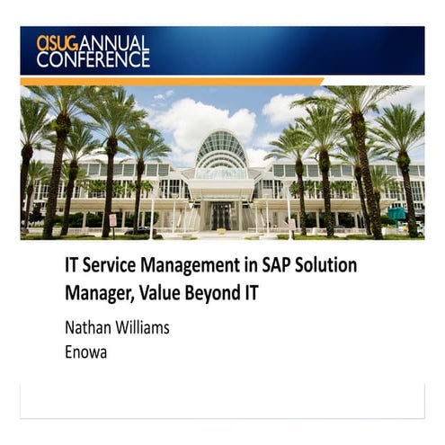 1613 it service management in sap solution manager, value beyond it